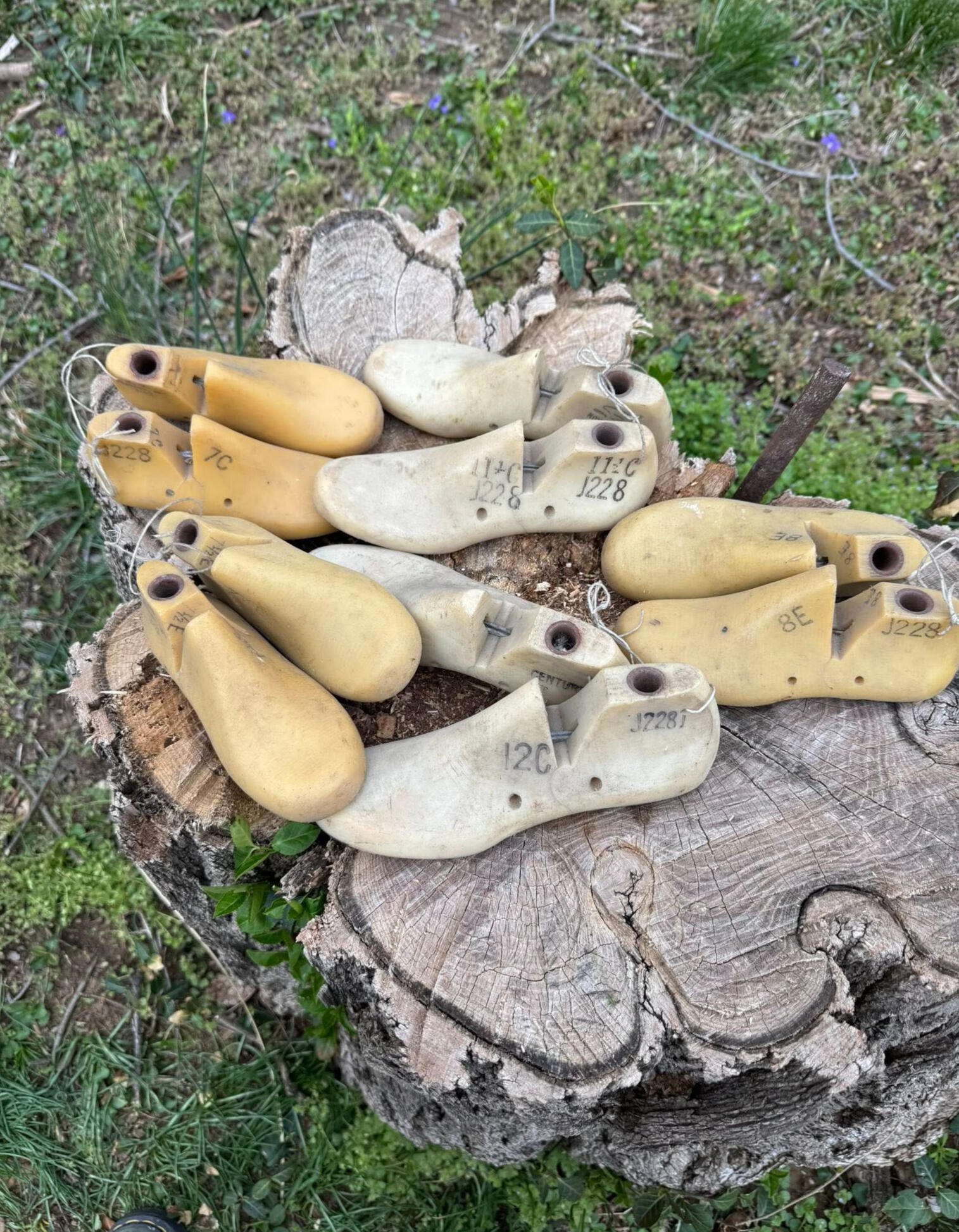 Lasting Impressions